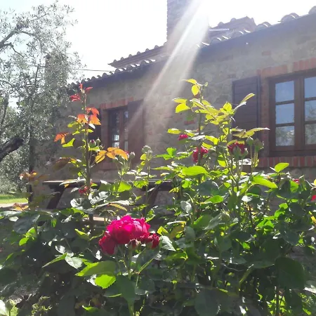La Casina Degli Ulivi Sinalunga