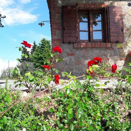 La Casina Degli Ulivi * Sinalunga