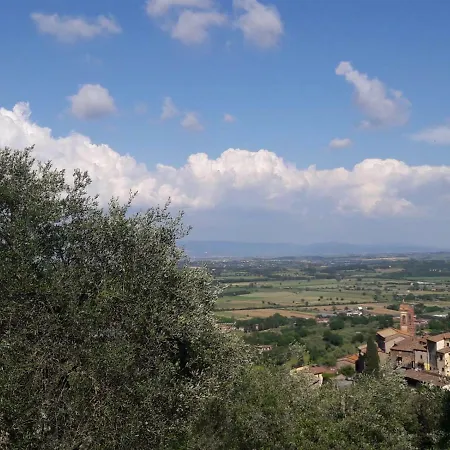 La Casina Degli Ulivi