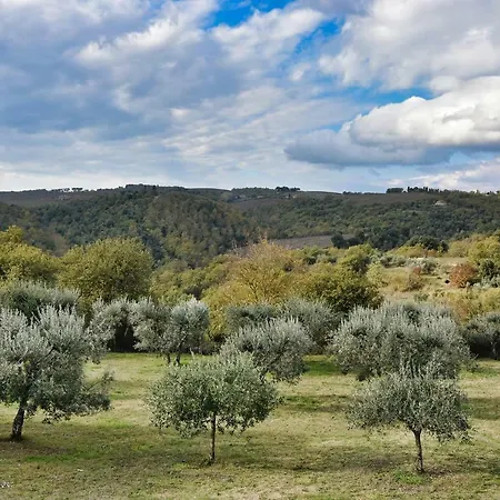 La Casina Degli Ulivi